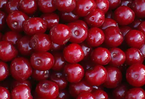 Вишня з кісточкою заморожена, 1 кг